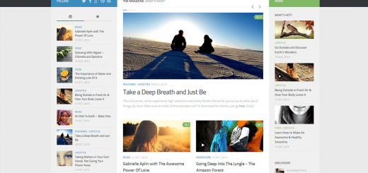 Hueman Preview via wordpress.org/themes/hueman/